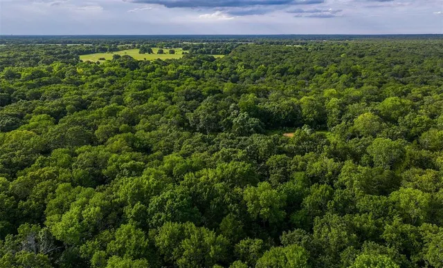a view of a lush green field