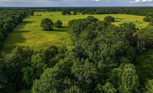 a view of a field with an ocean view