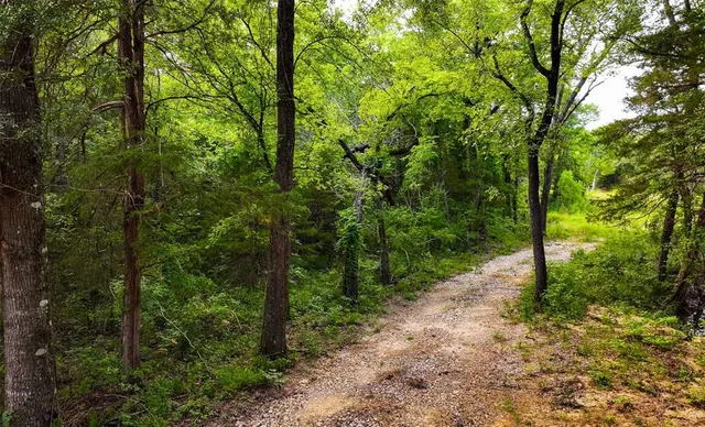 a big yard with lots of green space and trees