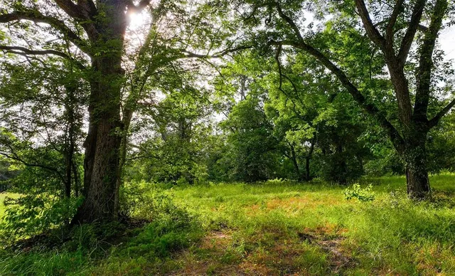 a view of outdoor space with deck and yard