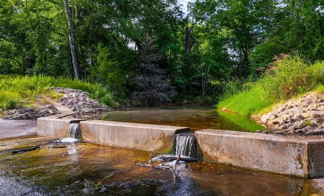 a view of a lake from a yard