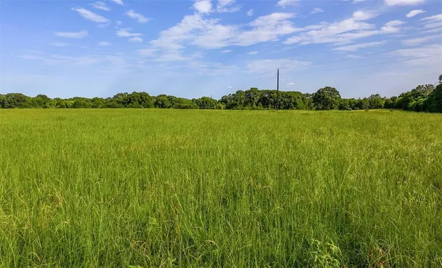 a view of green field with a tree