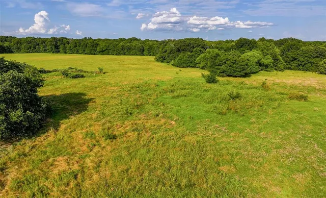 a view of yard with swimming pool and green space