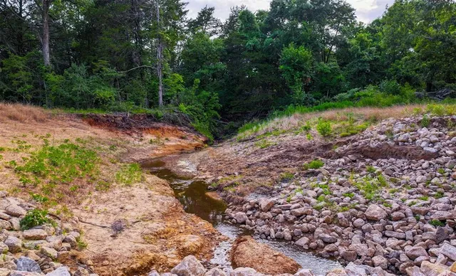 a view of a chair and table in the garden