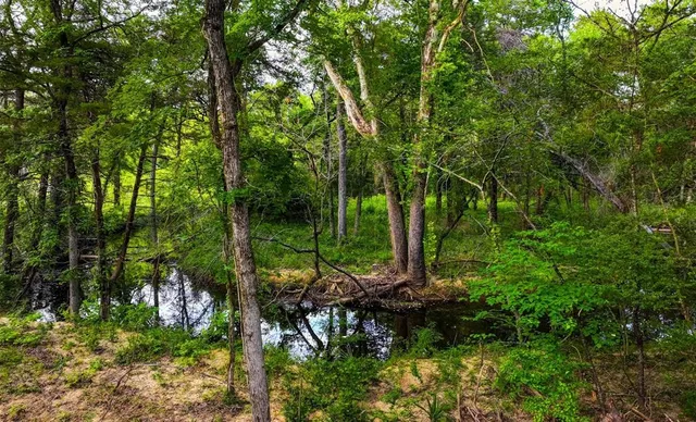 a view of backyard with green space