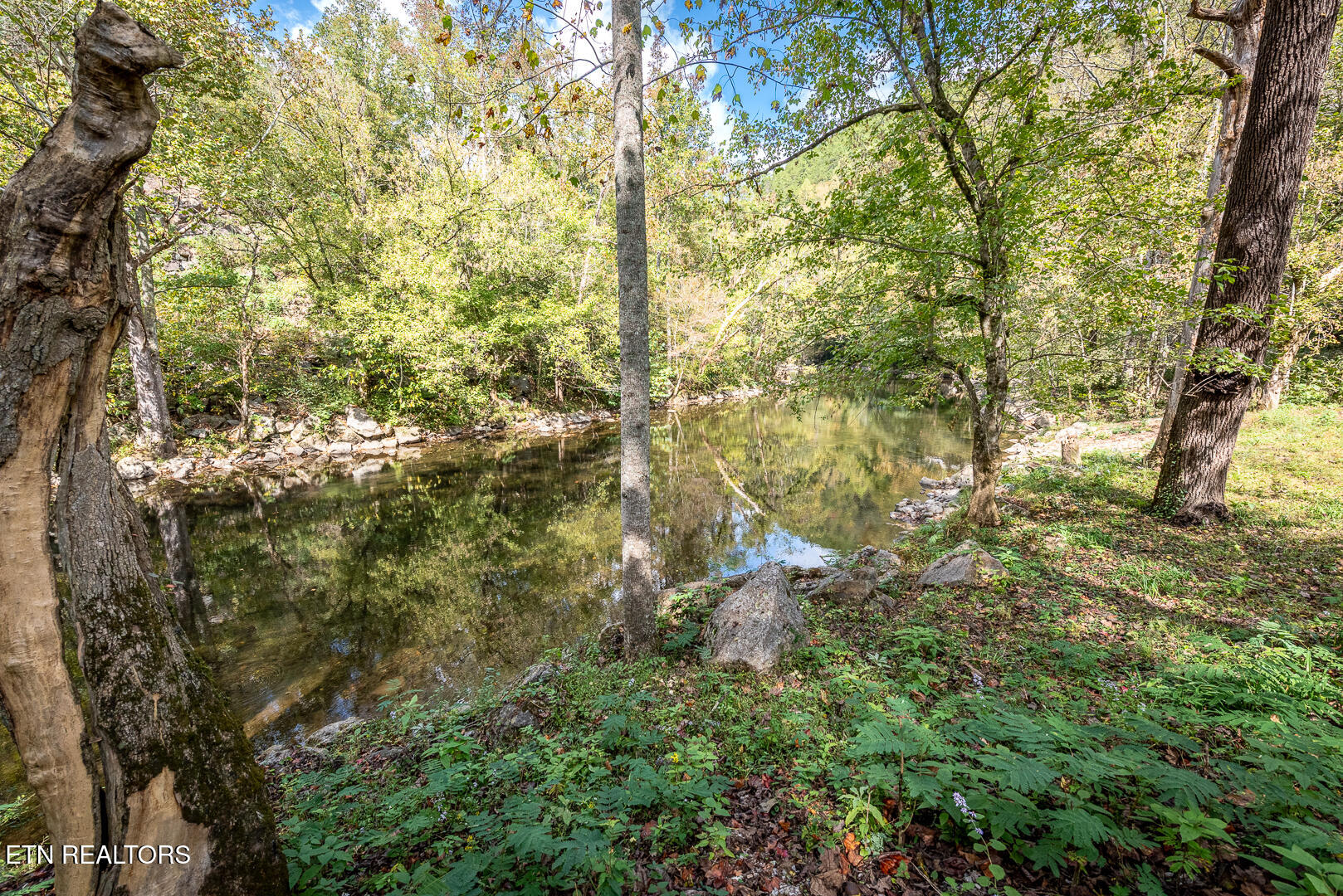 6806 Walnut Loop Road Townsend, TN 37882 - Photo 11 of 40 _DSC8808