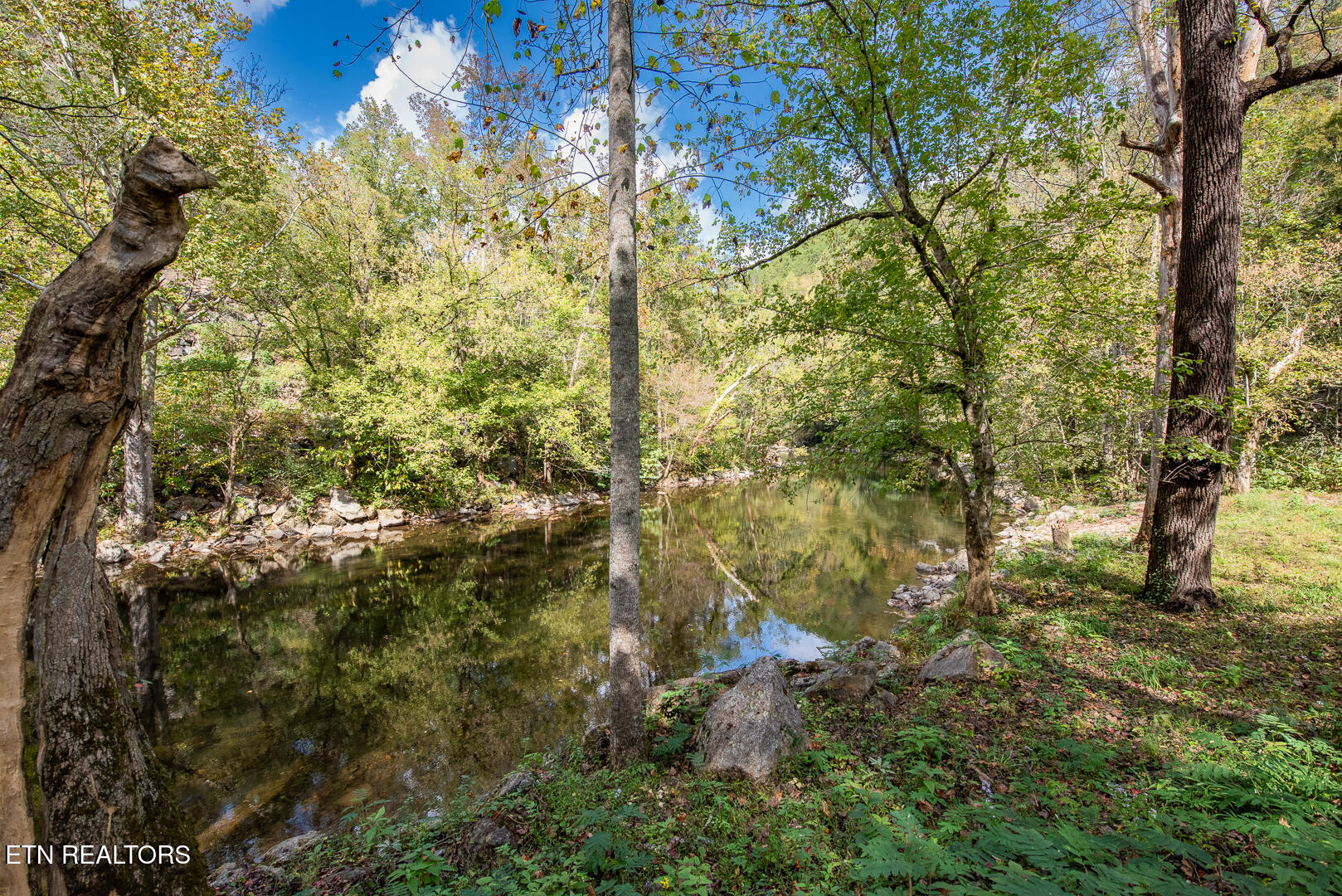 6806 Walnut Loop Road Townsend, TN 37882 - Photo 40 of 40 _DSC8807