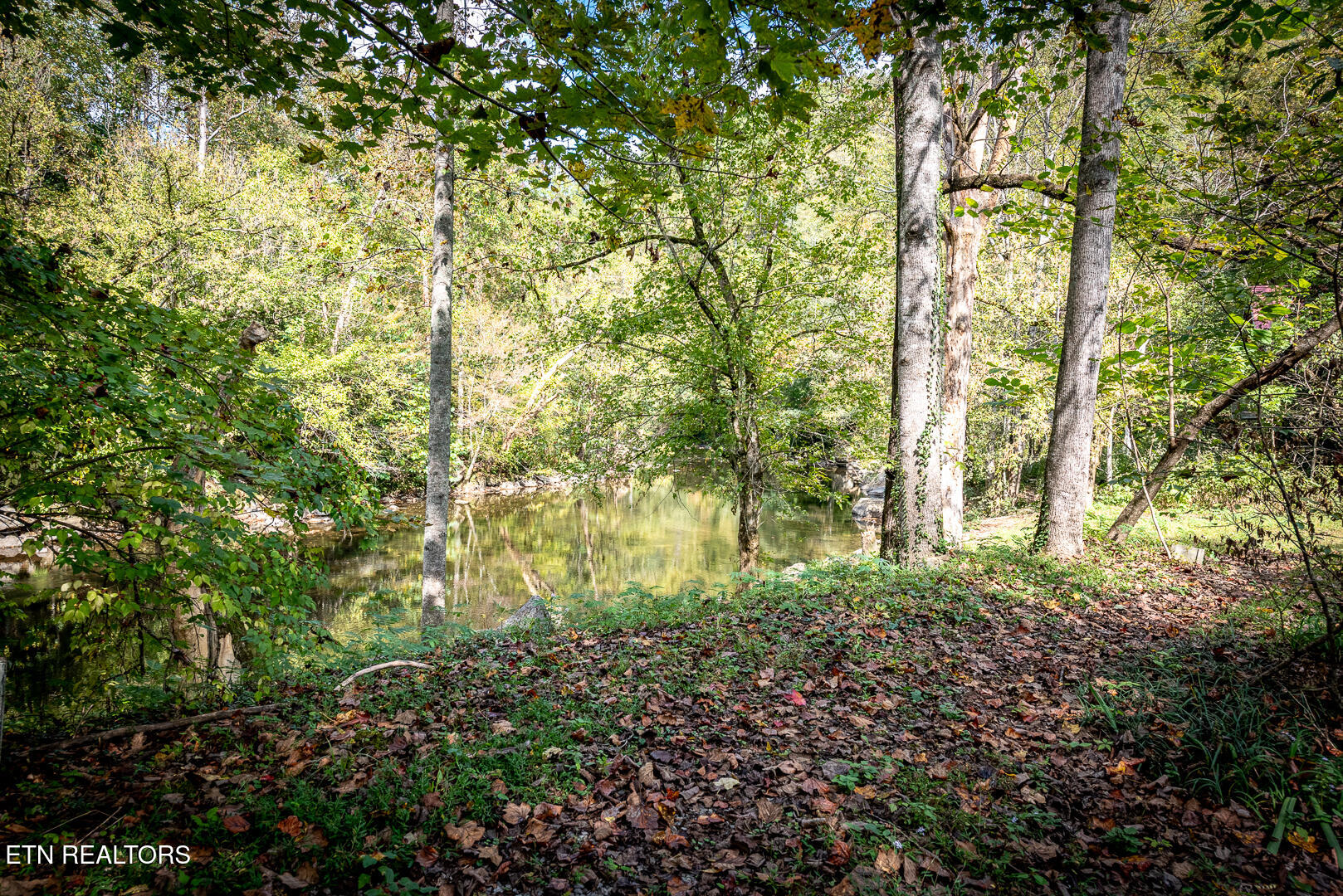 6806 Walnut Loop Road Townsend, TN 37882 - Photo 7 of 40 _DSC8805