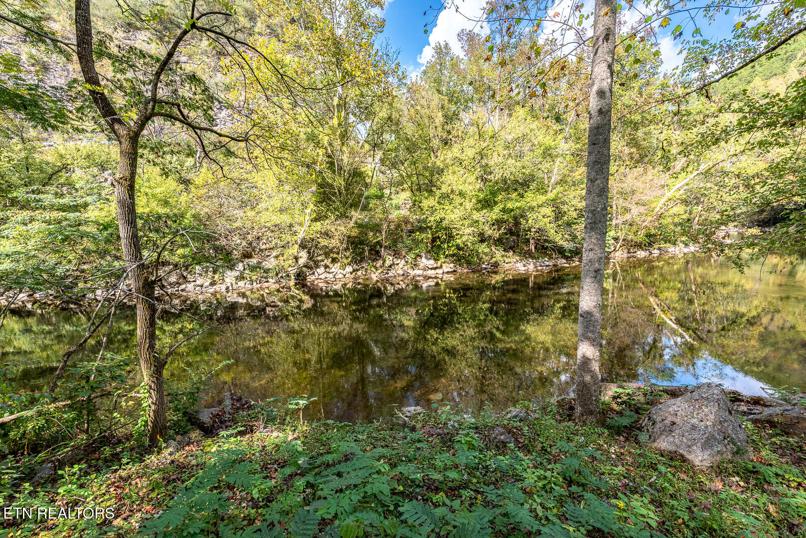 6806 Walnut Loop Road Townsend, TN 37882 - Photo 9 of 40 _DSC8809-2