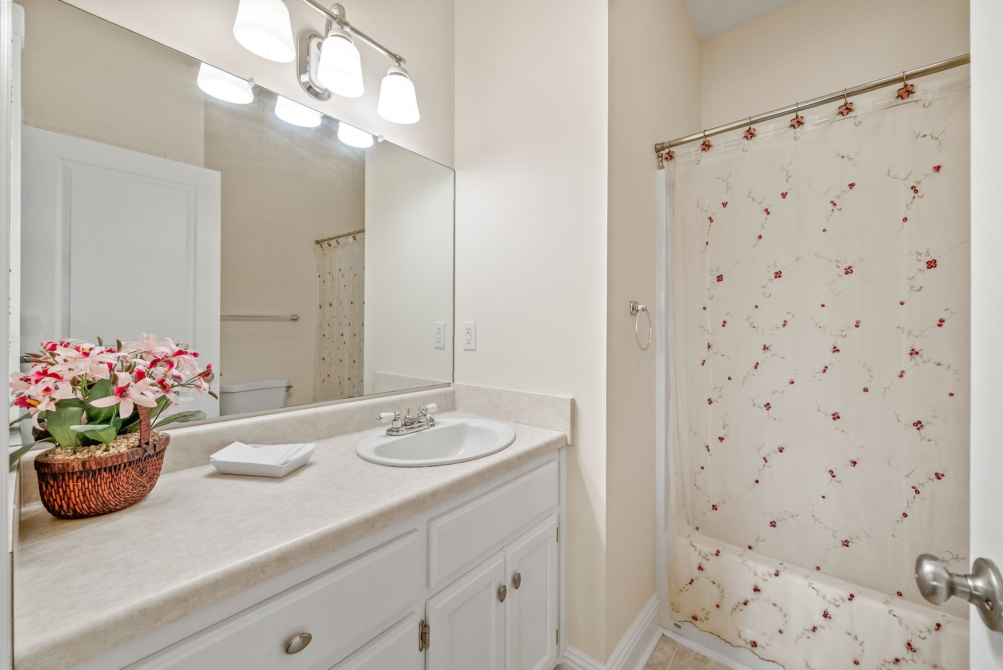 196 Wildlife Road Dover, TN 37058 - Photo 25 of 98 a bathroom with a sink a vanity and a mirror