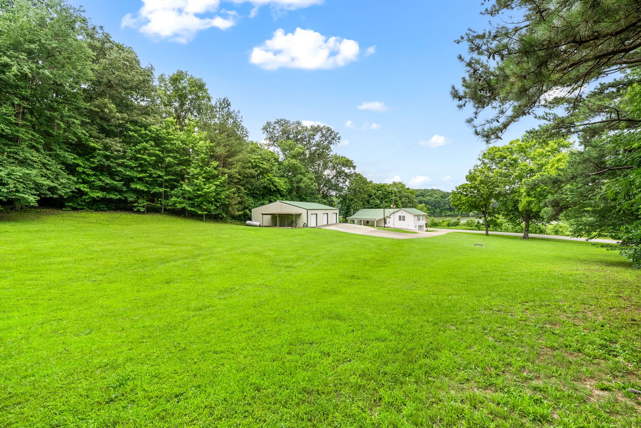 196 Wildlife Road Dover, TN 37058 - Photo 51 of 98 a view of yard with grass & trees