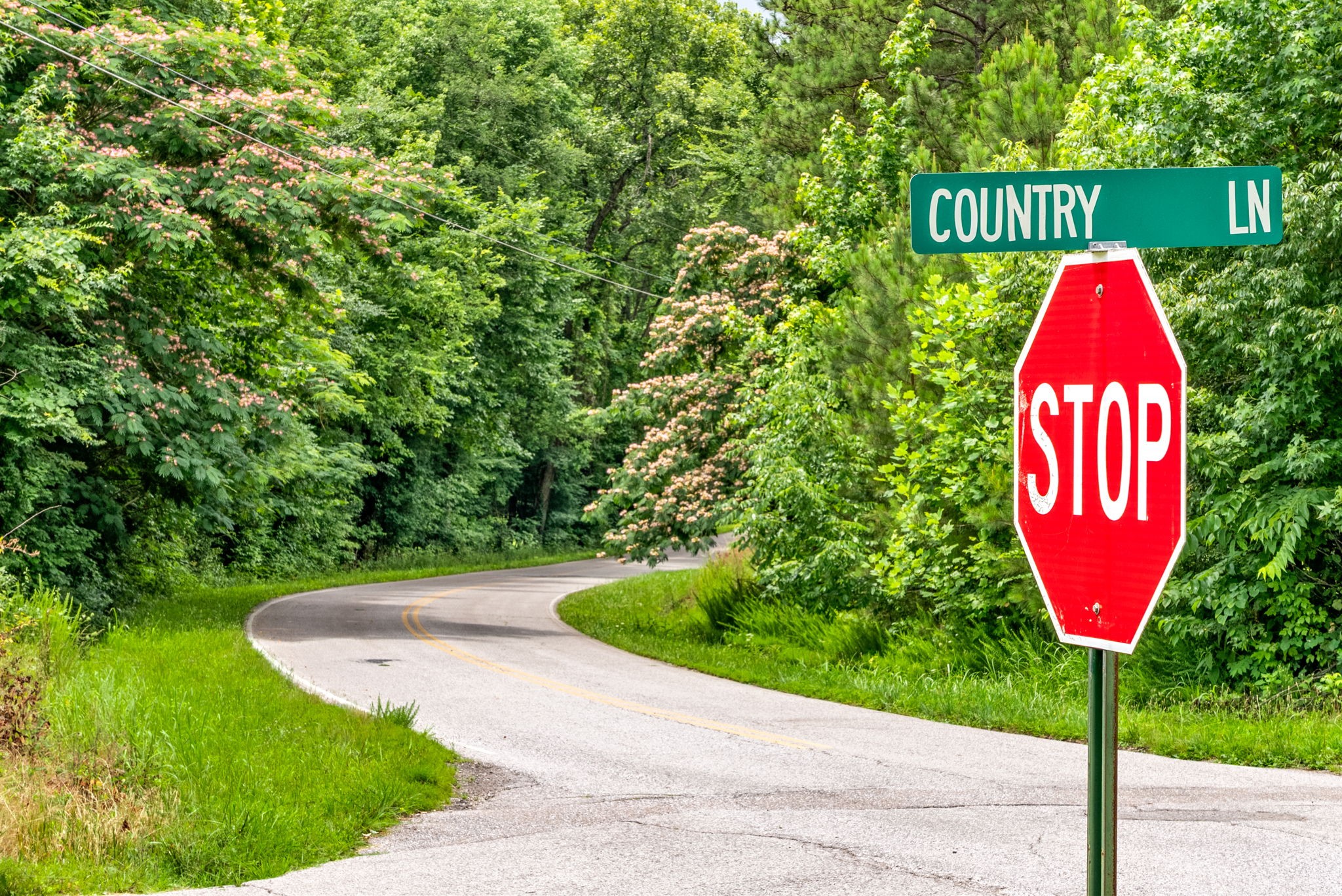 196 Wildlife Road Dover, TN 37058 - Photo 60 of 98