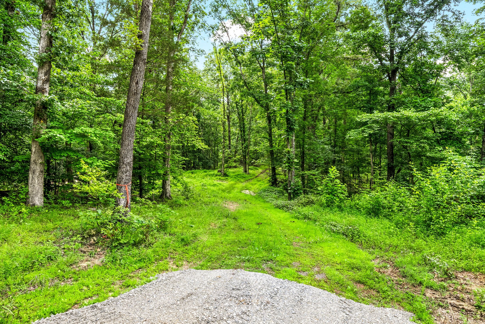 196 Wildlife Road Dover, TN 37058 - Photo 61 of 98