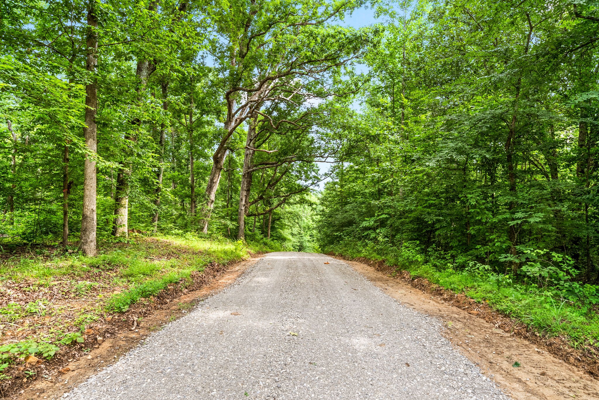 196 Wildlife Road Dover, TN 37058 - Photo 62 of 98