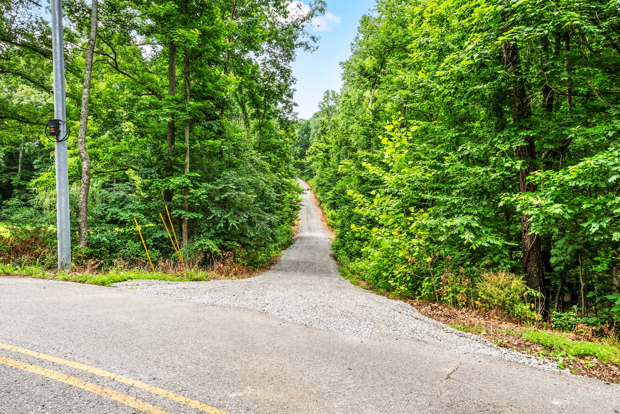 196 Wildlife Road Dover, TN 37058 - Photo 63 of 98 a view of under plants