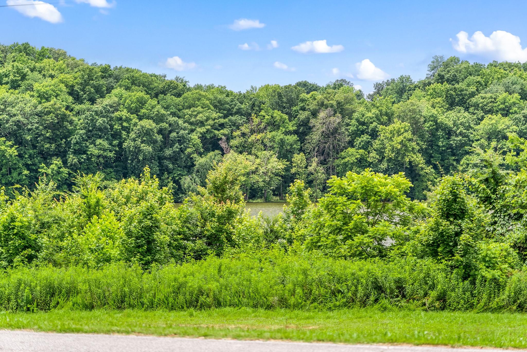 196 Wildlife Road Dover, TN 37058 - Photo 64 of 98