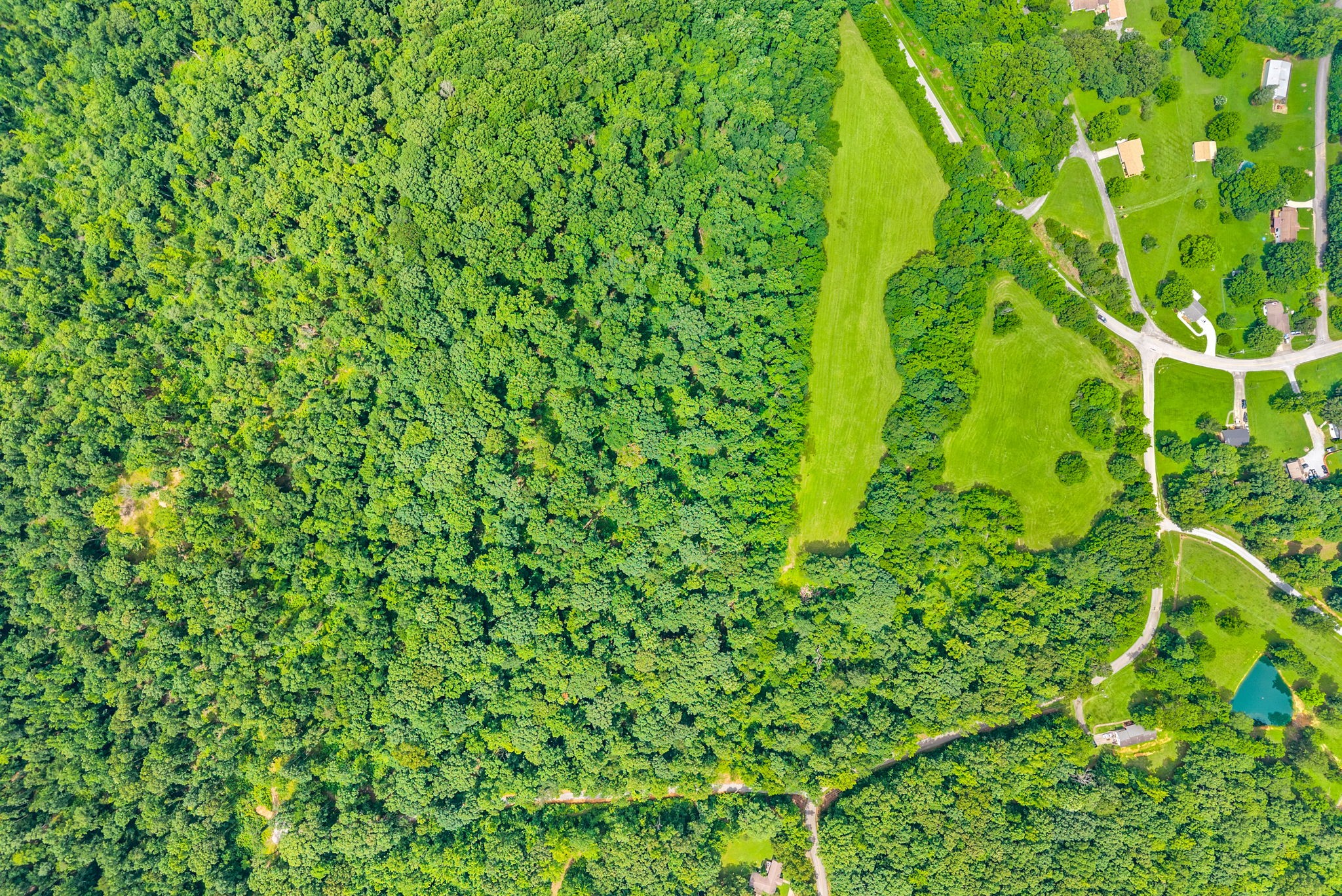 196 Wildlife Road Dover, TN 37058 - Photo 67 of 98