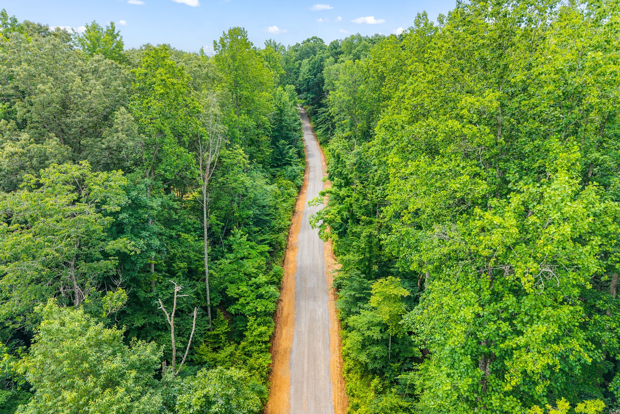 196 Wildlife Road Dover, TN 37058 - Photo 70 of 98 a view of a yard with plants and a large tree