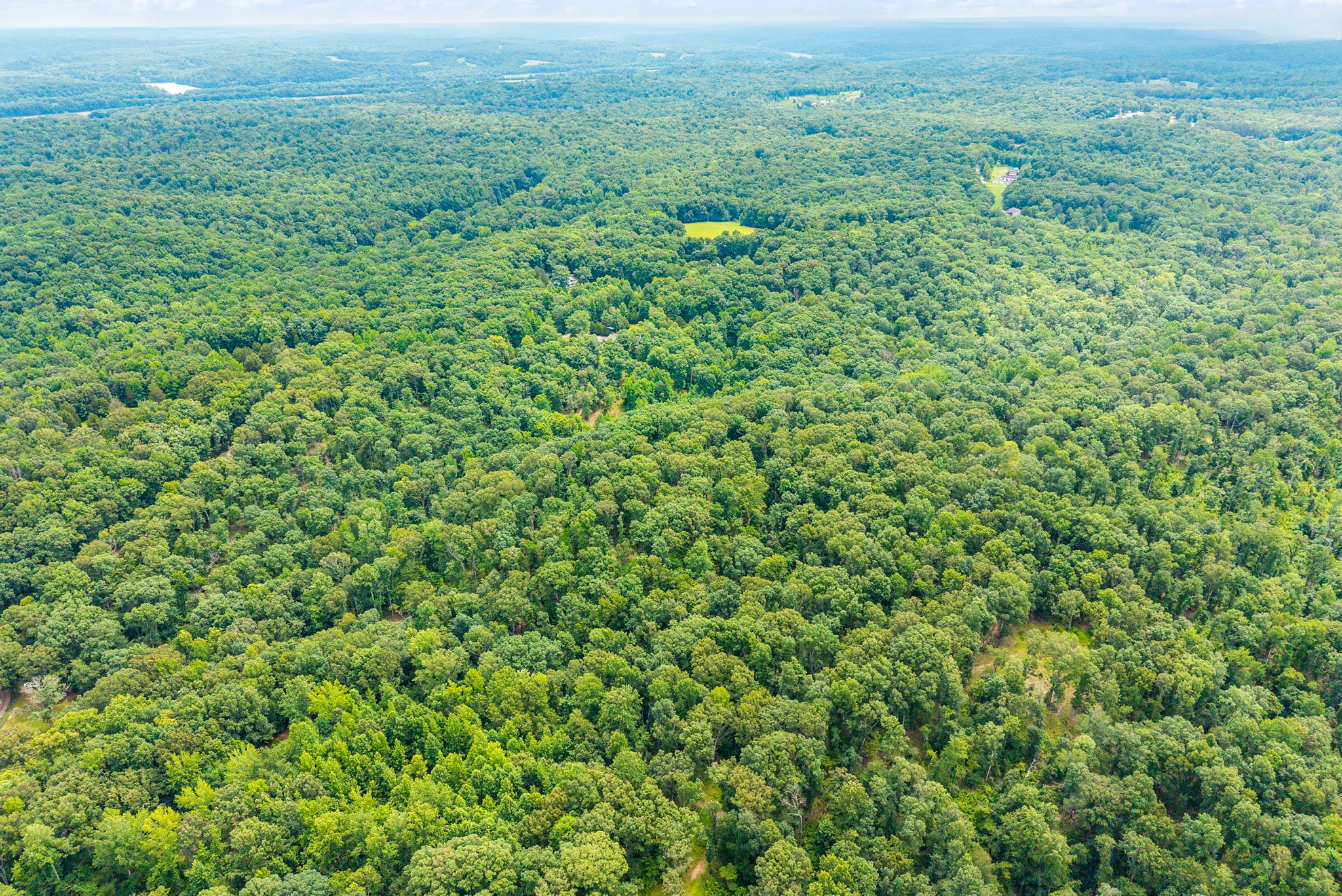 196 Wildlife Road Dover, TN 37058 - Photo 71 of 98