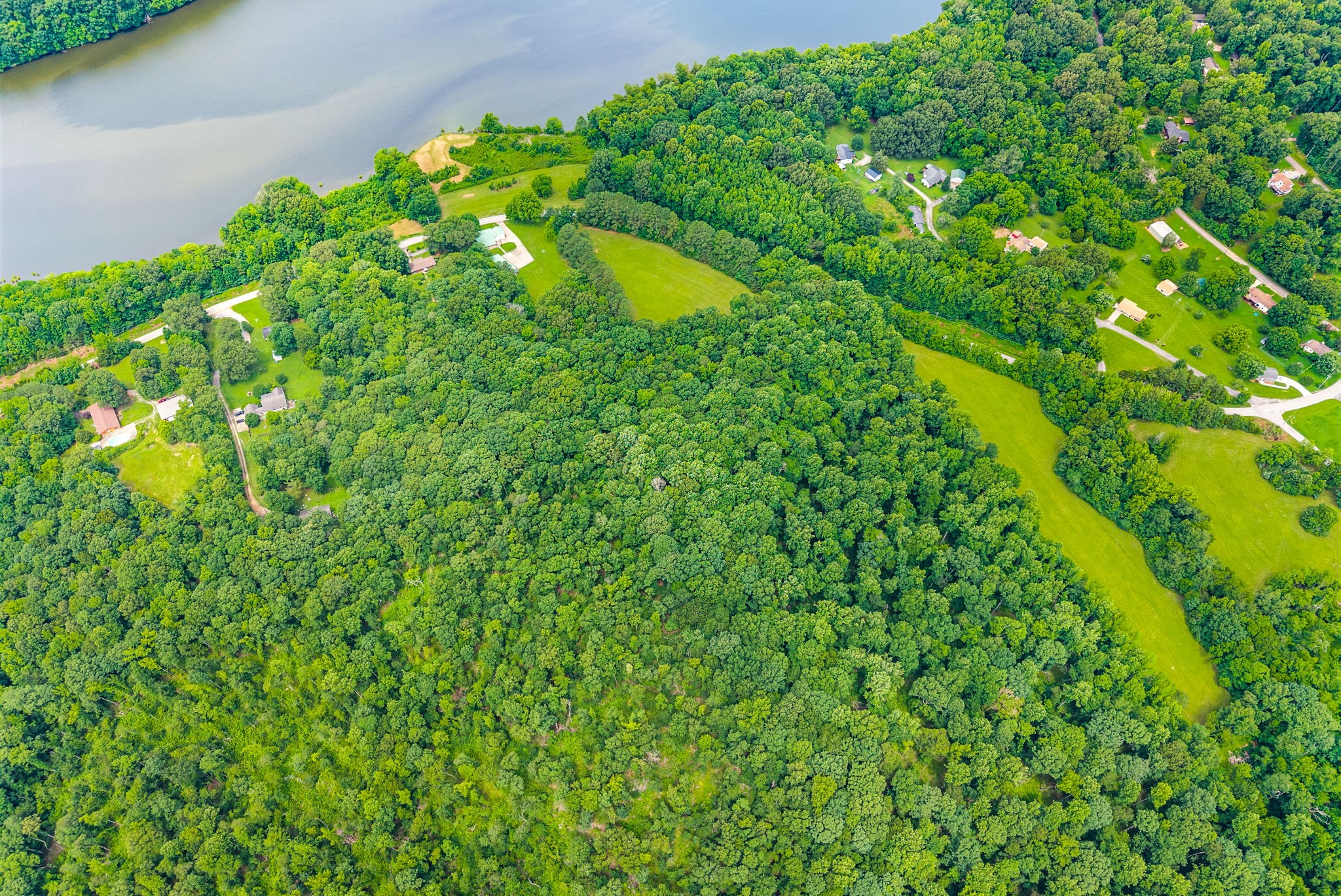 196 Wildlife Road Dover, TN 37058 - Photo 72 of 98 a plant view in yard