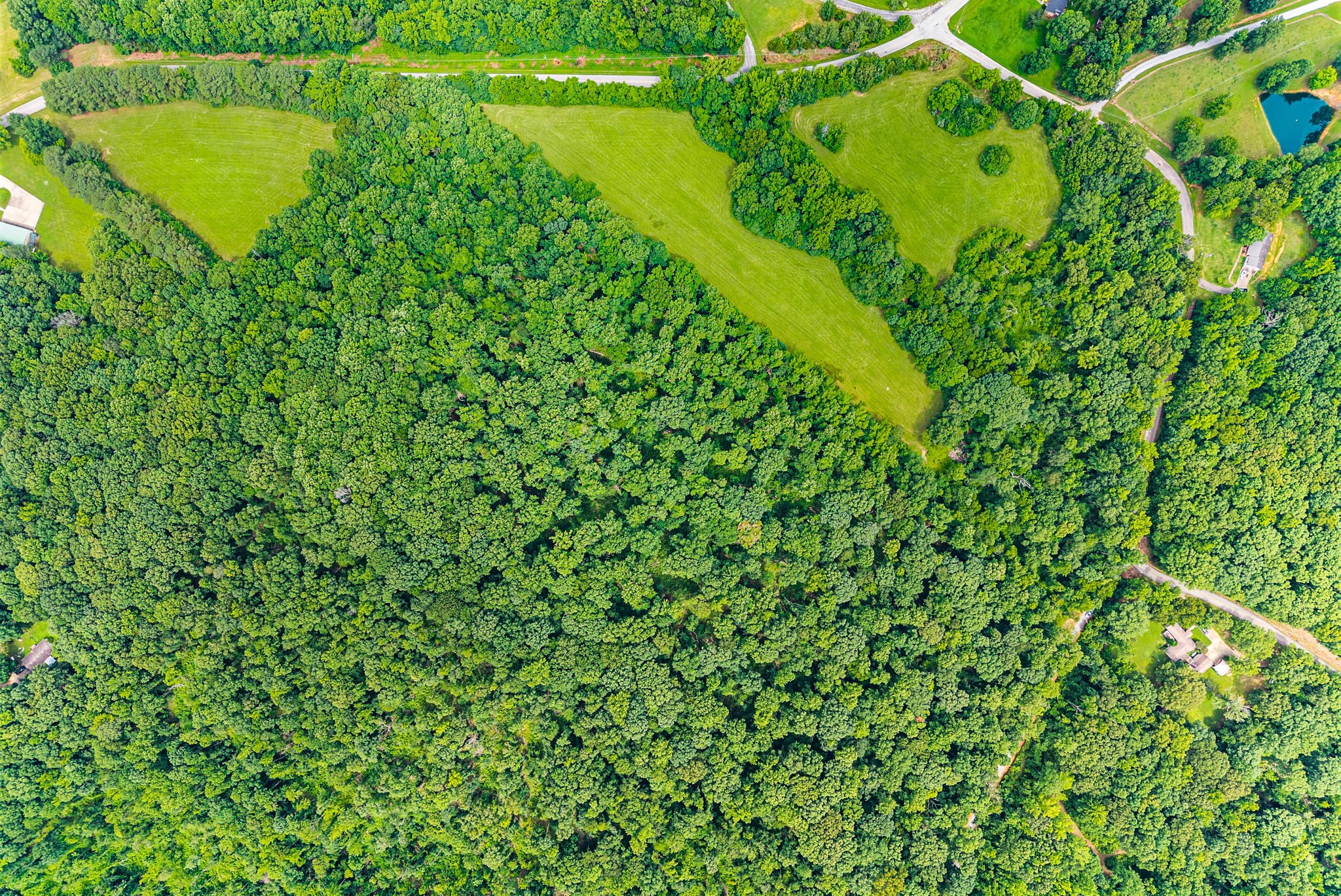 196 Wildlife Road Dover, TN 37058 - Photo 73 of 98