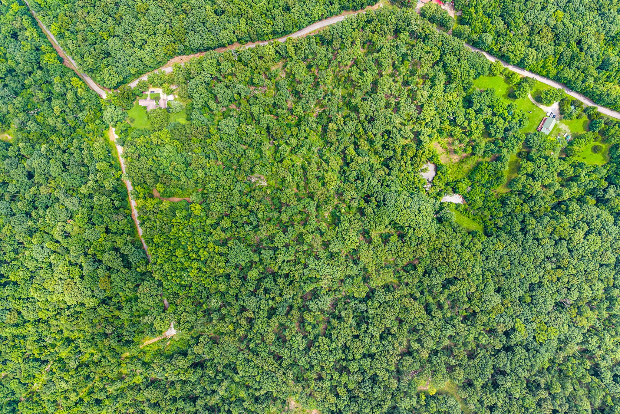 196 Wildlife Road Dover, TN 37058 - Photo 74 of 98 a view of a green field
