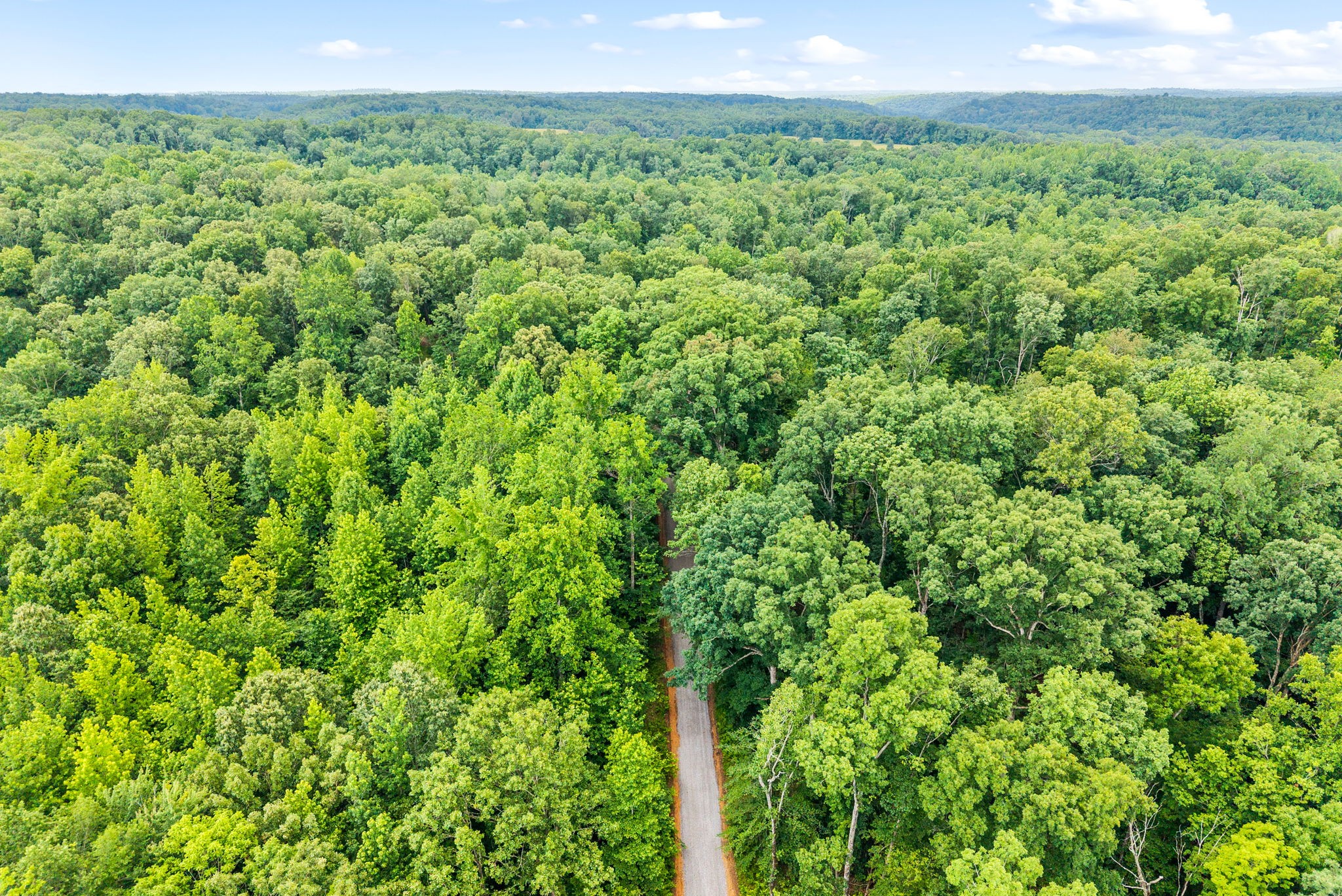196 Wildlife Road Dover, TN 37058 - Photo 76 of 98 a view of a yard with an outdoor space