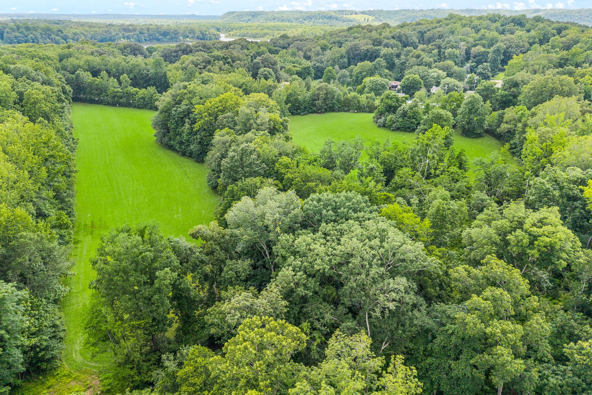 196 Wildlife Road Dover, TN 37058 - Photo 80 of 98