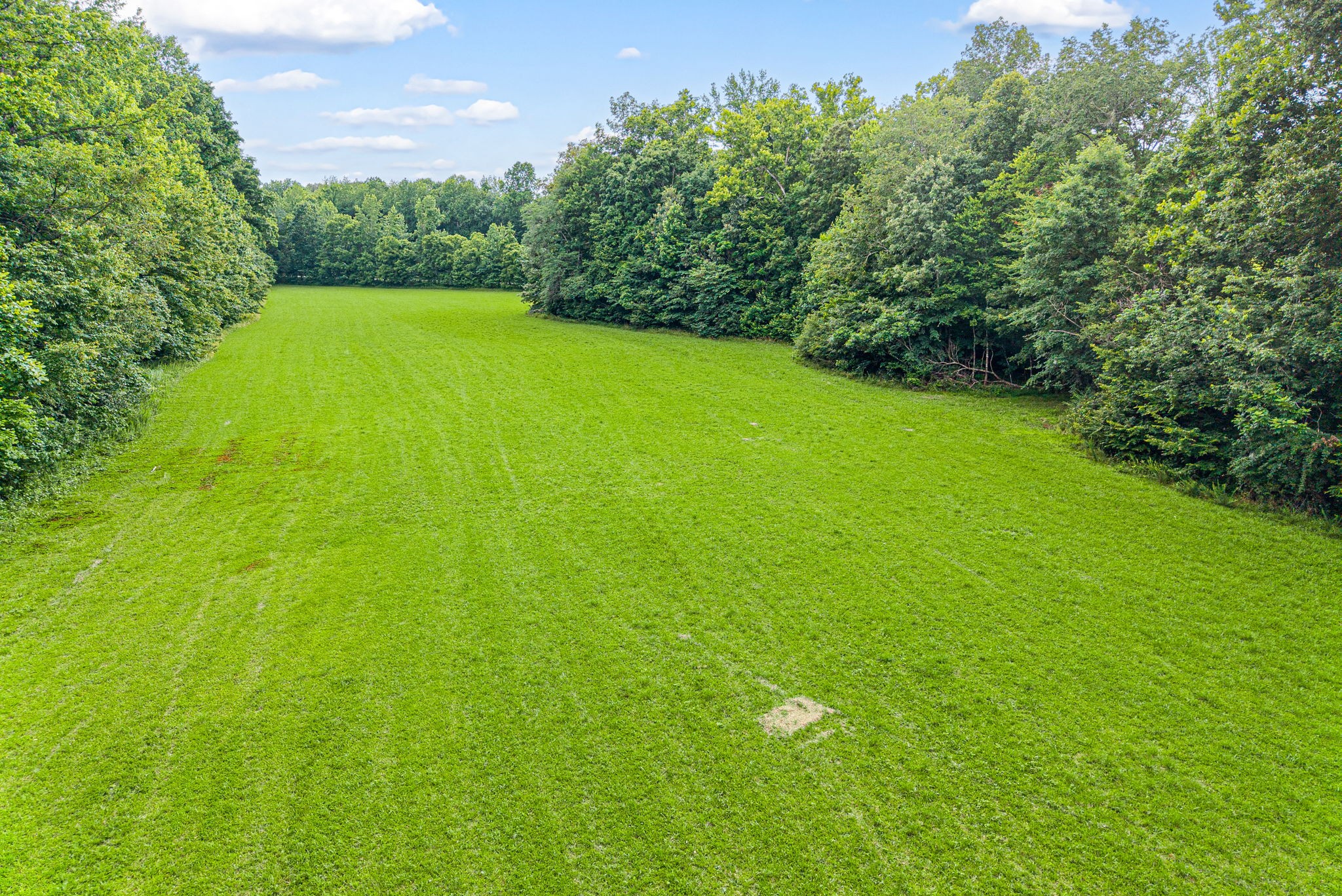 196 Wildlife Road Dover, TN 37058 - Photo 81 of 98 a view of a big yard with green space