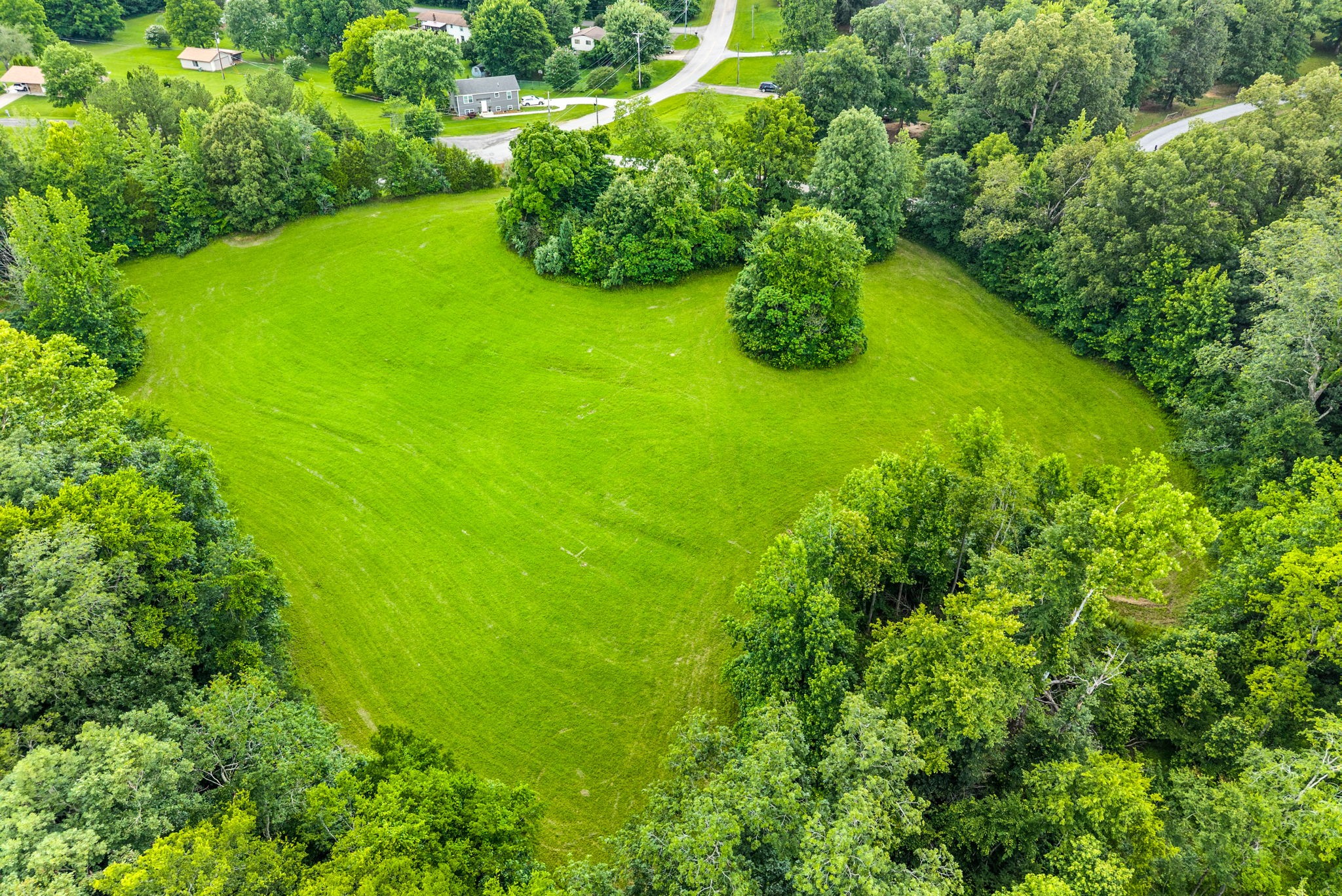 196 Wildlife Road Dover, TN 37058 - Photo 83 of 98 a lush green forest with lots of trees