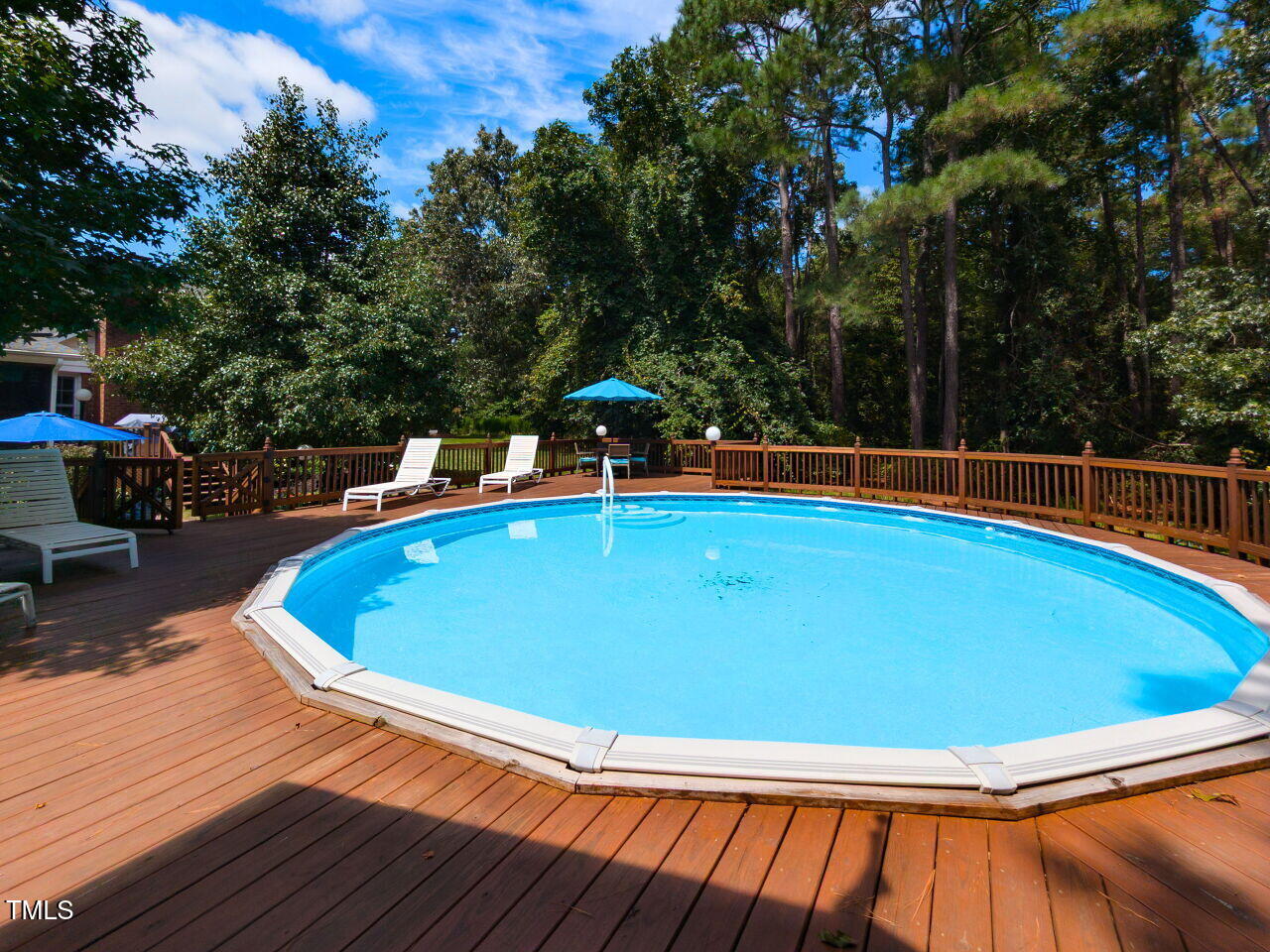 1025 Lake Path Road Willow Spring, NC 27592 - Photo 26 of 30 a view of swimming pool with chairs