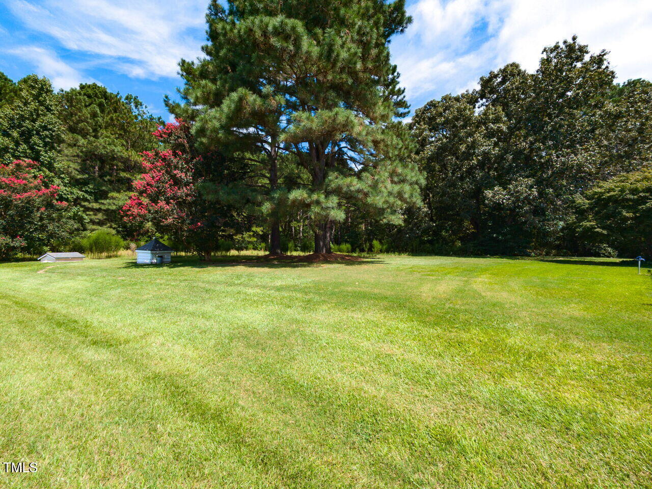 1025 Lake Path Road Willow Spring, NC 27592 - Photo 5 of 30 a view of green field with trees in the background