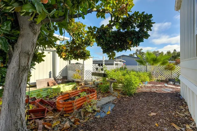 a house view with a garden space