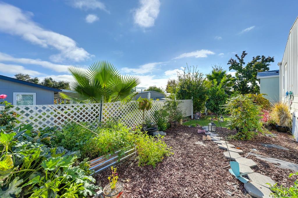 7512 Bufflehead Lane Citrus Heights, CA 95621 - Photo 48 of 52 a house view with a garden space