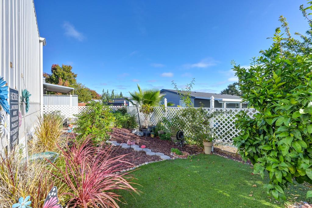 7512 Bufflehead Lane Citrus Heights, CA 95621 - Photo 50 of 52 a front view of a house with a yard