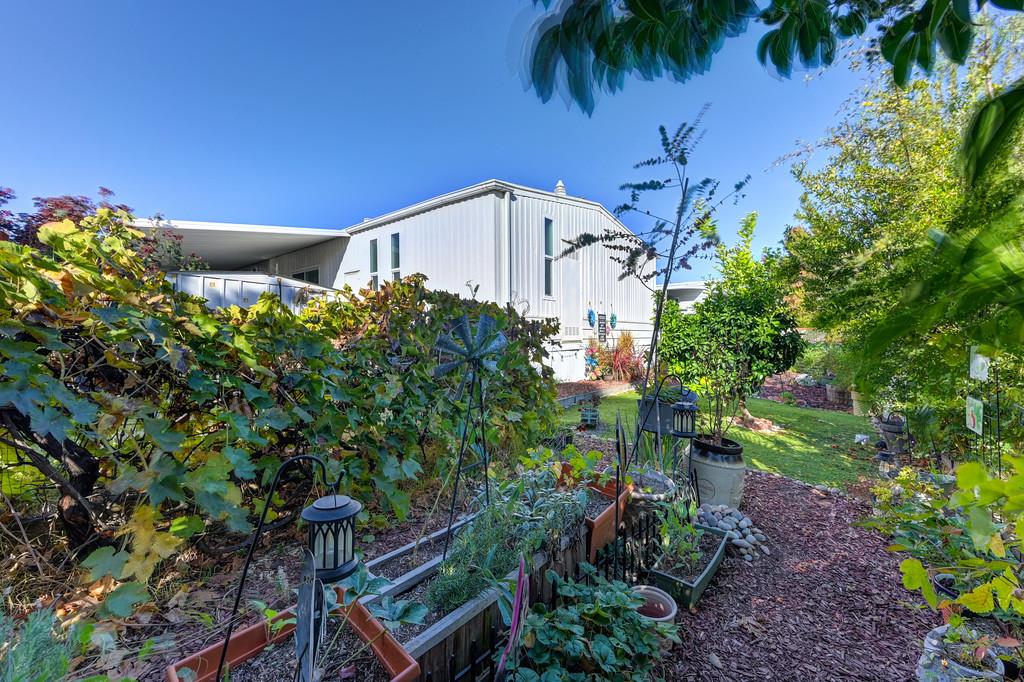 7512 Bufflehead Lane Citrus Heights, CA 95621 - Photo 52 of 52 a picture of plants