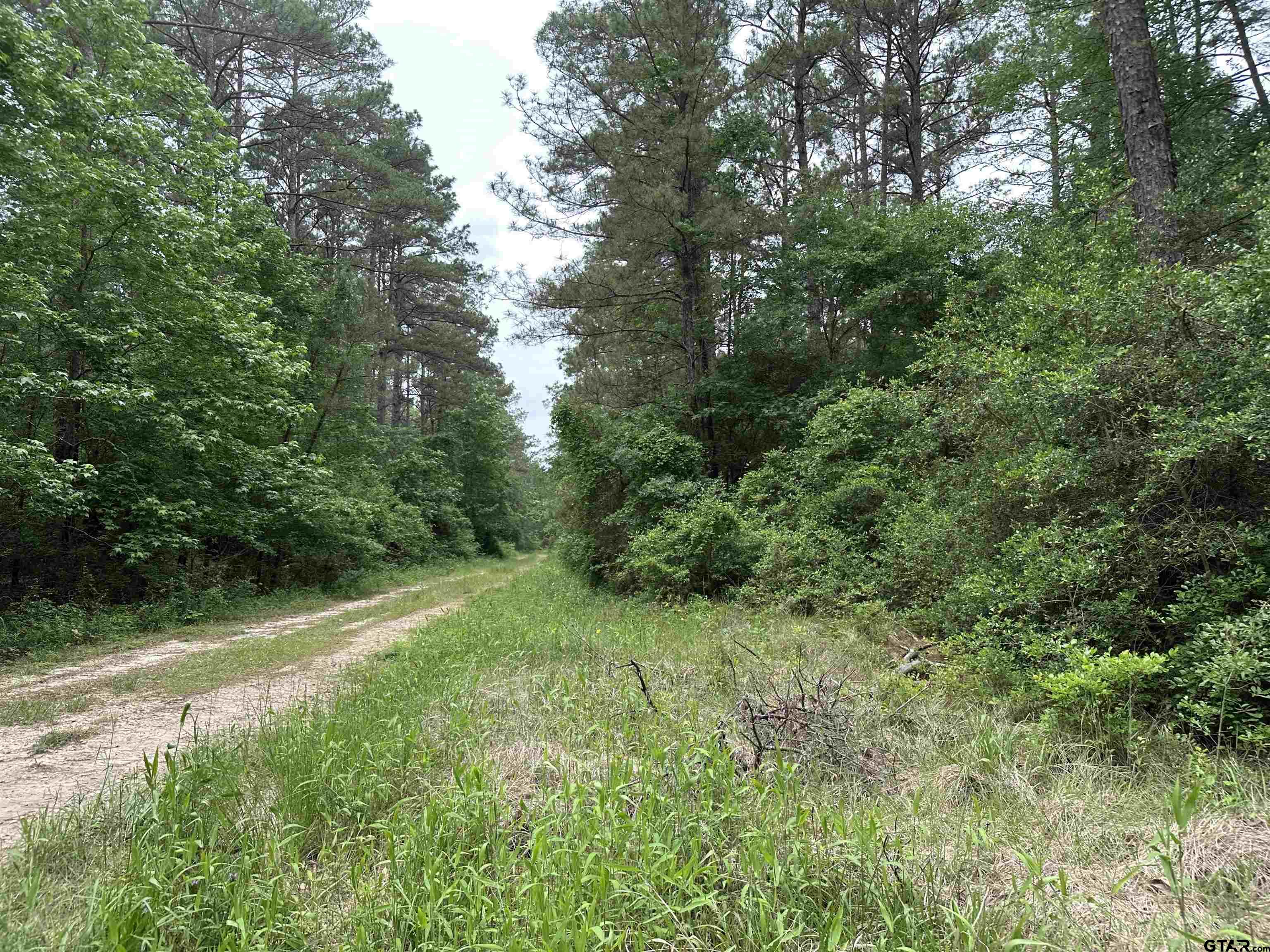 Tbd Sand Road Lufkin, TX 75904 - Photo 11 of 27