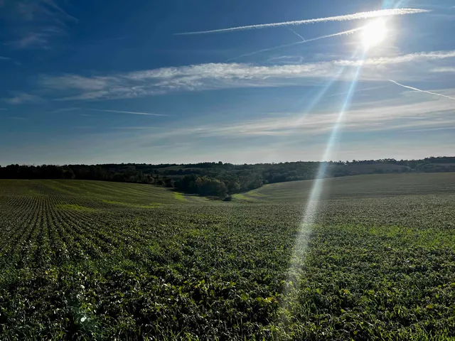 $599,900 | 39 Highway 39, New Glarus, WI 53574