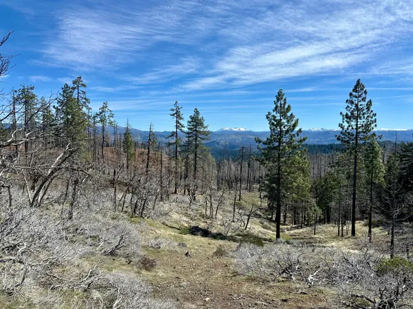 $250,000 | 4050 Zenia Lake Mountain Road, Zenia, CA 95595