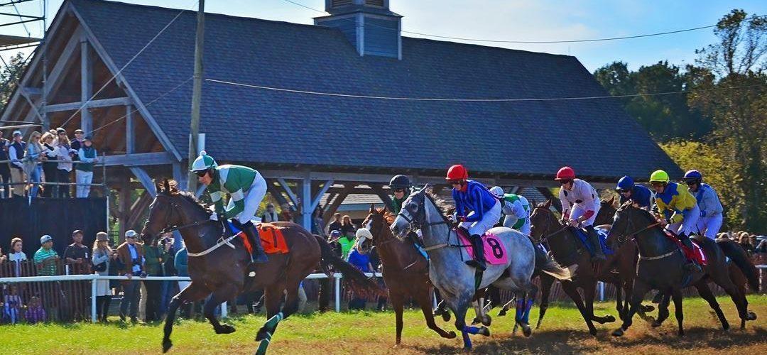 4715 Gold Cup Lane Hollywood, SC 29449 - Photo 54 of 58 stono steeplechase