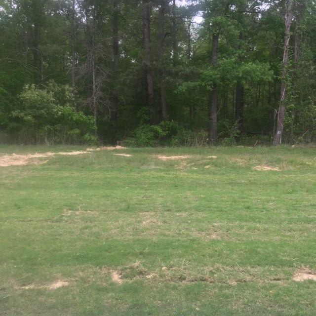 624 Macbeth Street Brandon, MS 39047 - Photo 10 of 10 Photo 13