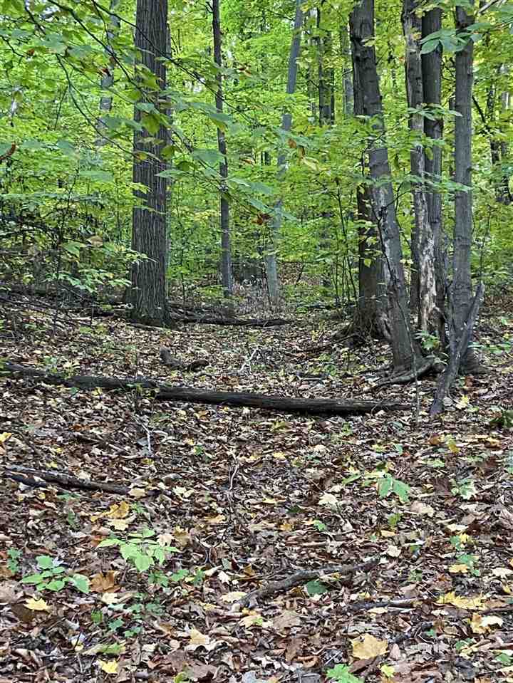 11-acres Milarch Road Onekama, MI 49675 - Photo 22 of 37