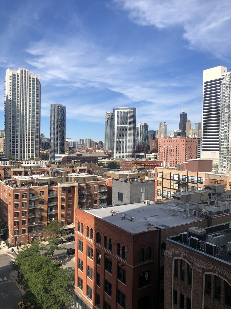 200 North Jefferson Street, Unit 1307 Chicago, IL 60661 - Photo 10 of 13