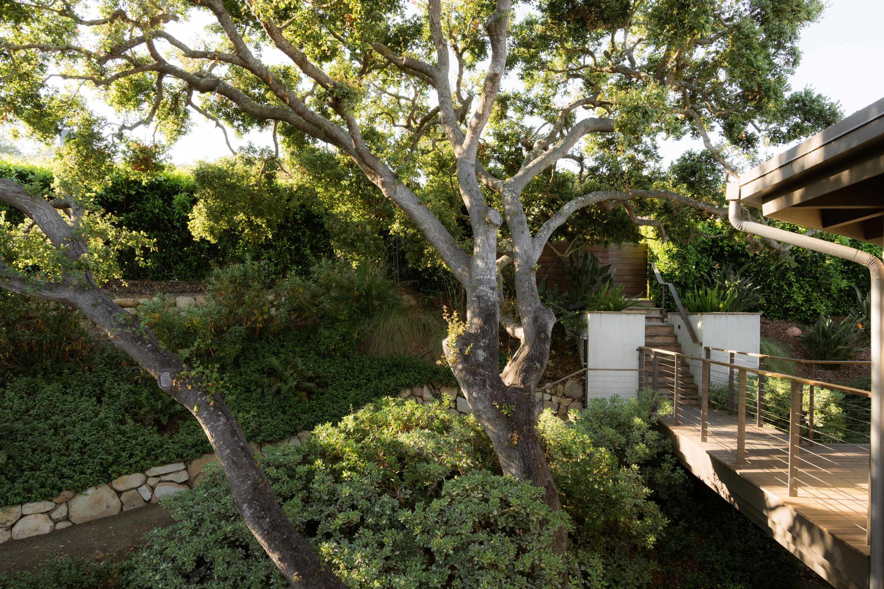 1315 Mission Ridge Road Santa Barbara, CA 93103 - Photo 27 of 34 a view of a yard with plants and large trees