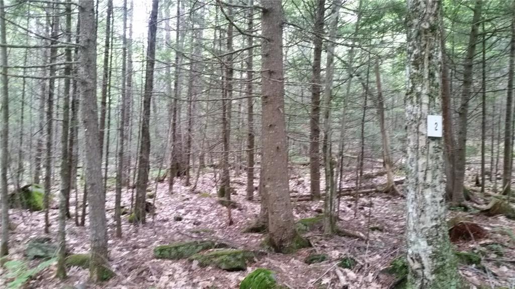 0 Garden Road, Unit LOT 2 Monroe, ME 04951 - Photo 2 of 13 Photo