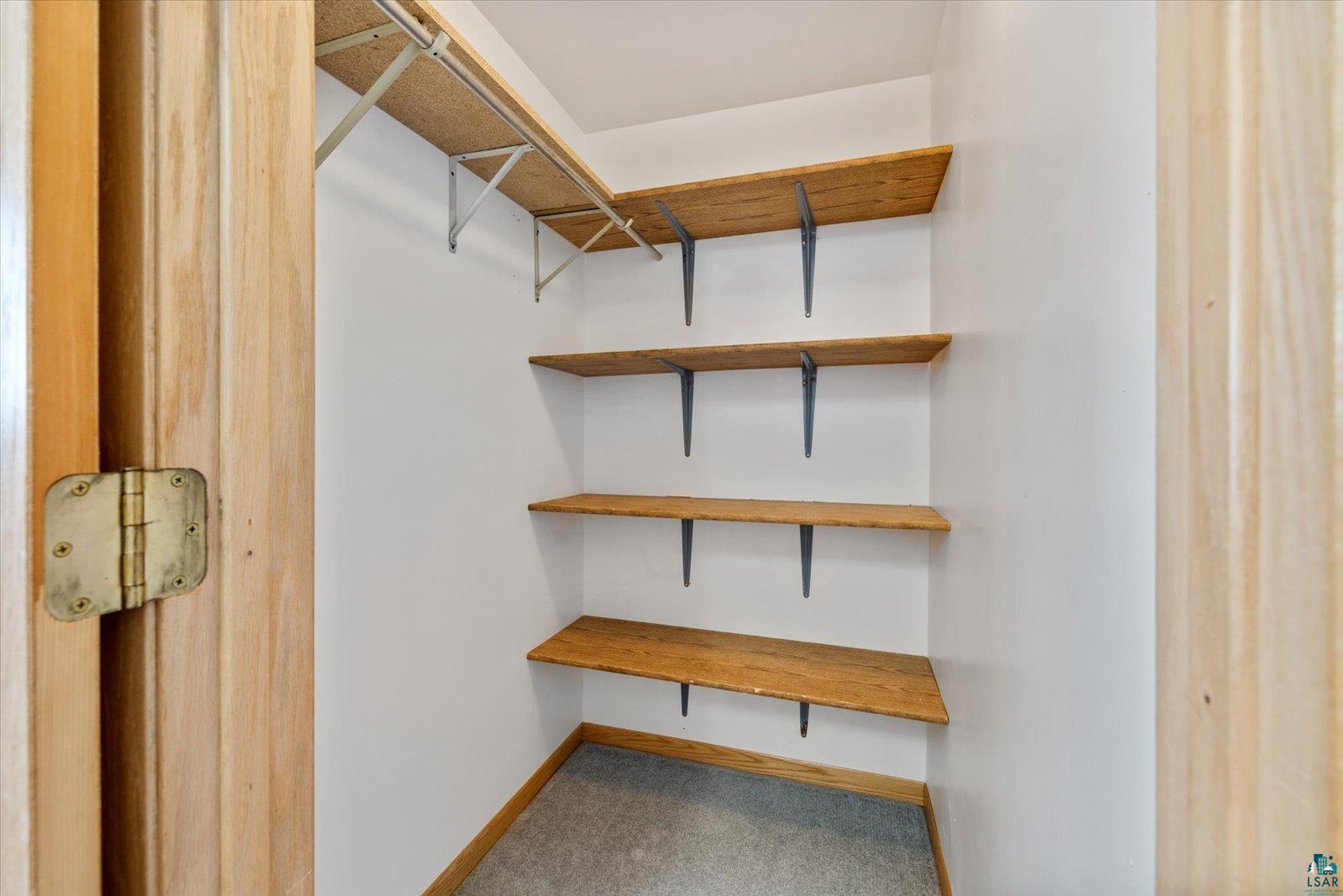 3495 Deer Forest Road Makinen, MN 55763 - Photo 24 of 71 Walk in closet featuring light carpet