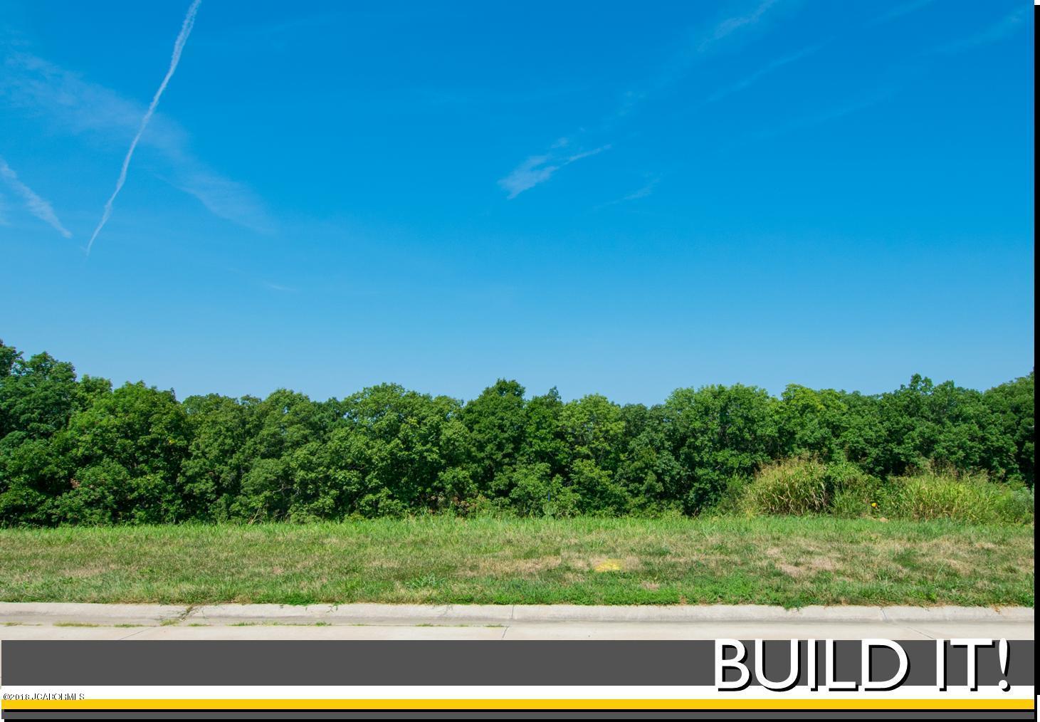 Lot 20 Sterling Ridge Drive Holts Summit, MO 65043 - Photo 1 of 1