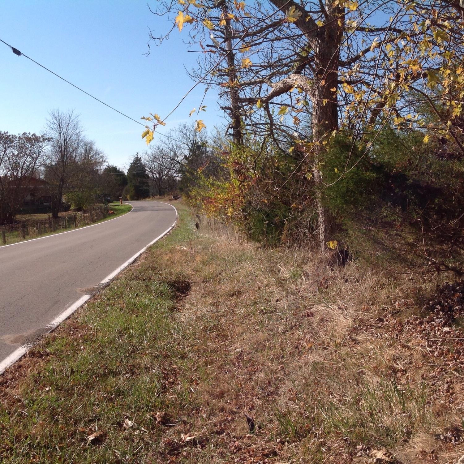 0 Mt Pleasant Road Mount Olivet, KY 41064 - Photo 3 of 7 Gallery Image 3