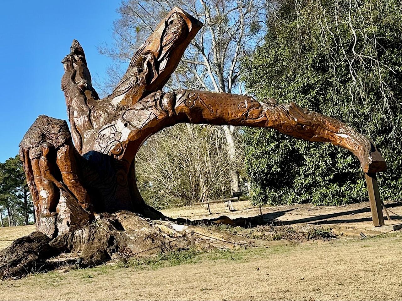 302 Santee Drive Santee, SC 29142 - Photo 50 of 60 Santee 3