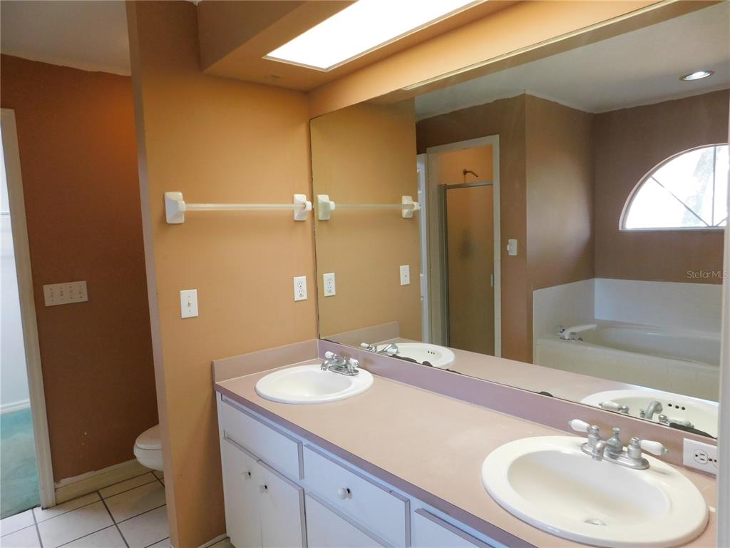 5821 Buck Run Drive Lakeland, FL 33811 - Photo 22 of 30 a bathroom with a sink and a mirror